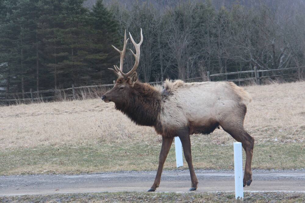 Photo of Others in Treasure Lake