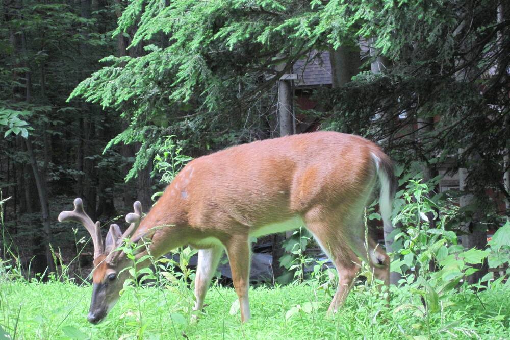 Photo of Outdoor in Treasure Lake