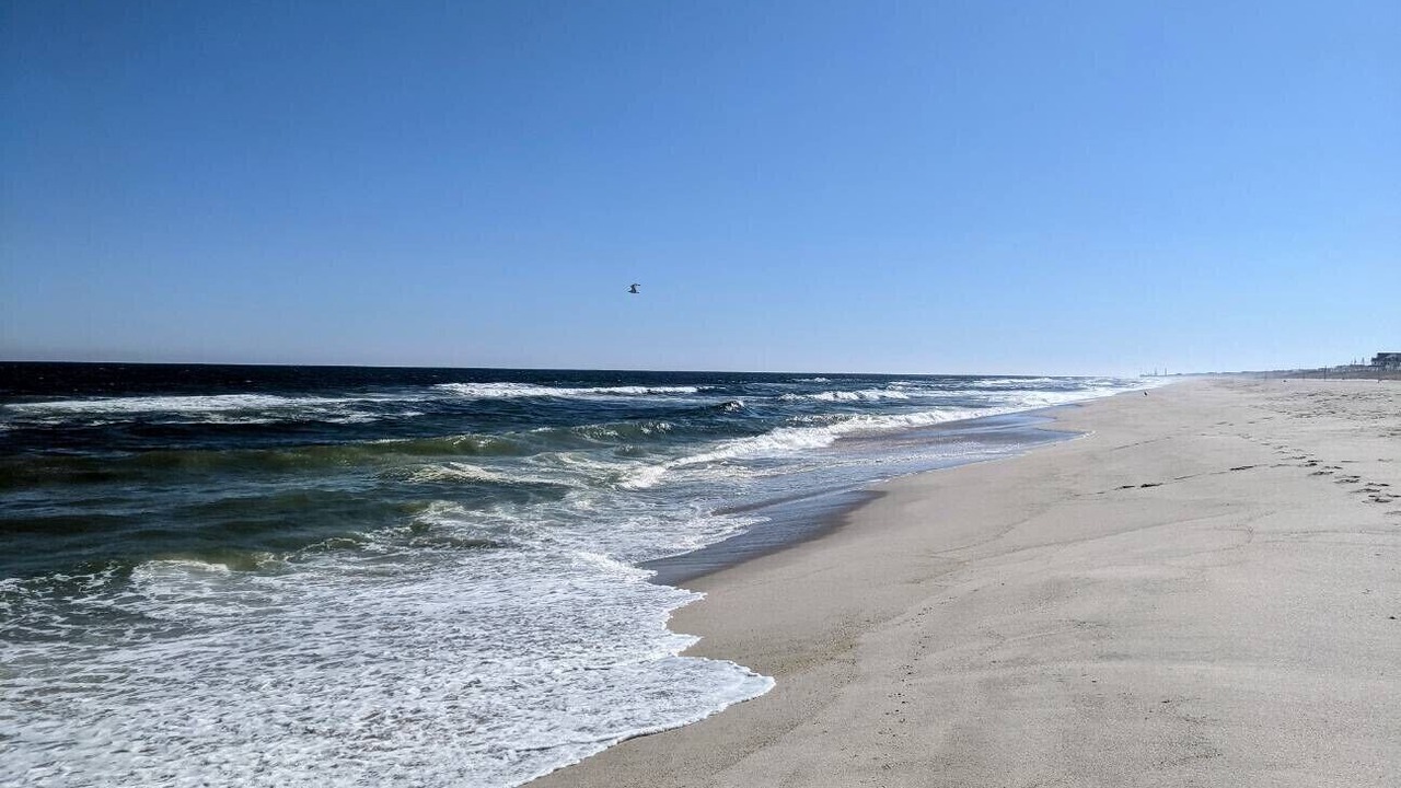 Photo of Others in Ocean Beach III