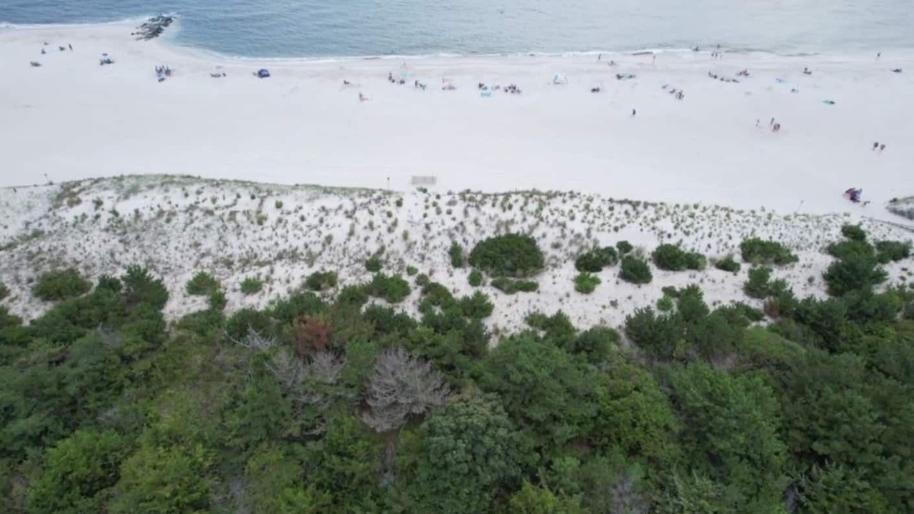 Photo of Others in Cape May Point