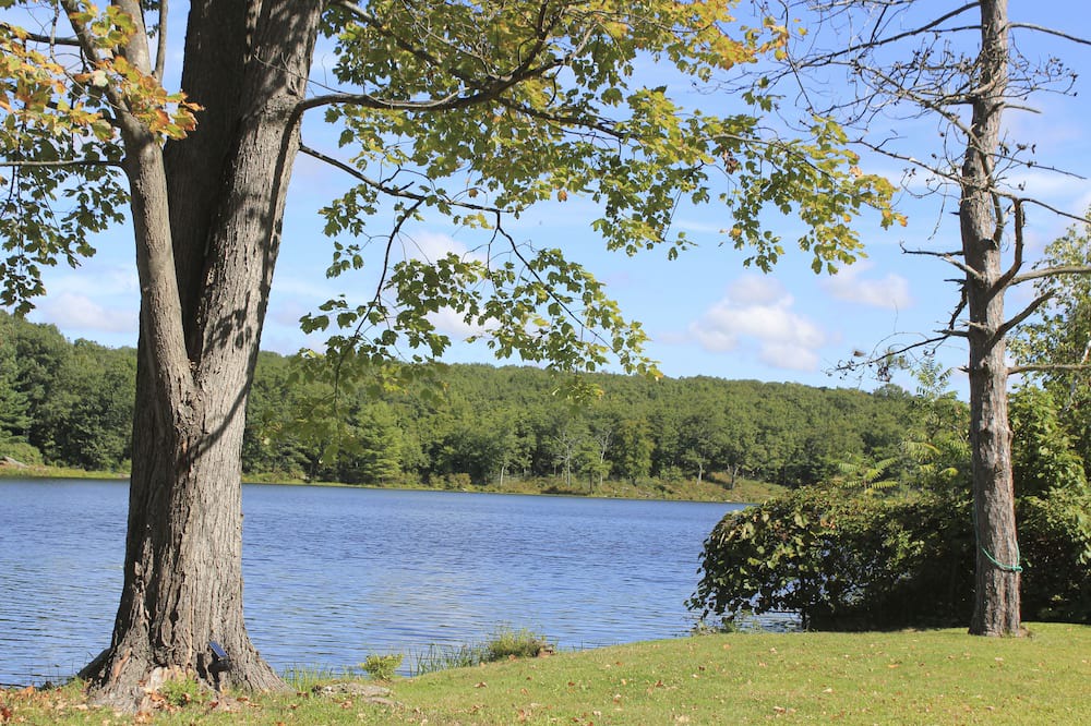 Photo of Outdoor in Port Jervis