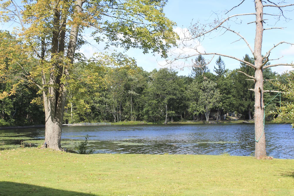 Photo of Others in Port Jervis