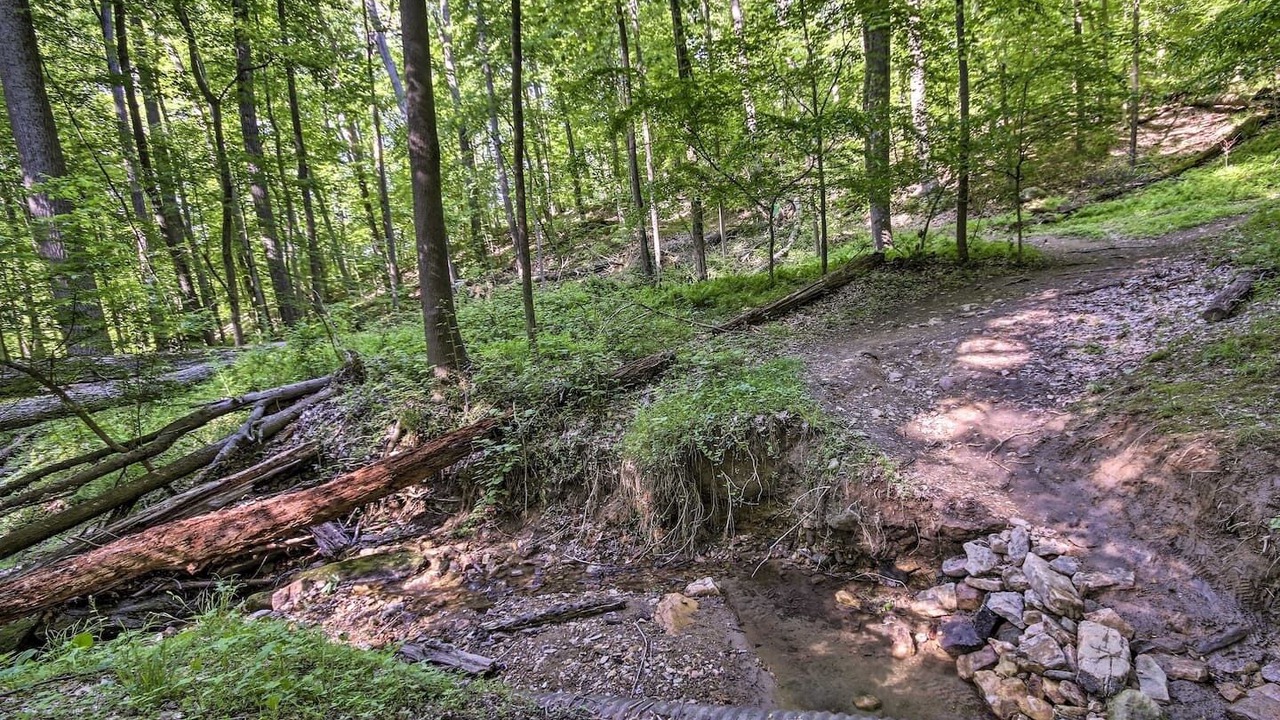 Photo of Outdoor in Long Green