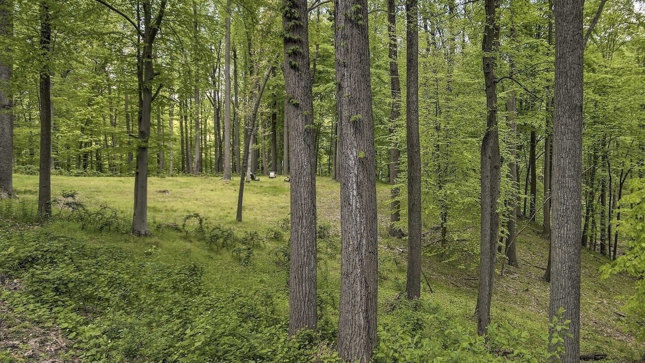 Photo of Outdoor in Long Green