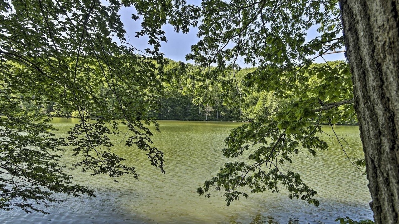 Photo of Others in Long Green