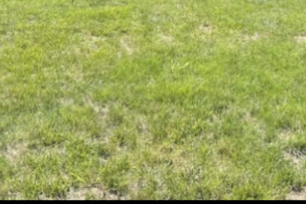 Photo of Outdoor in Grenloch