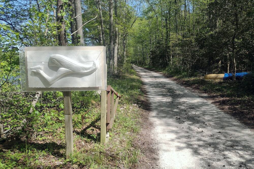 Photo of Outdoor in Green Creek