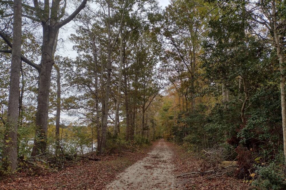 Photo of Outdoor in Green Creek