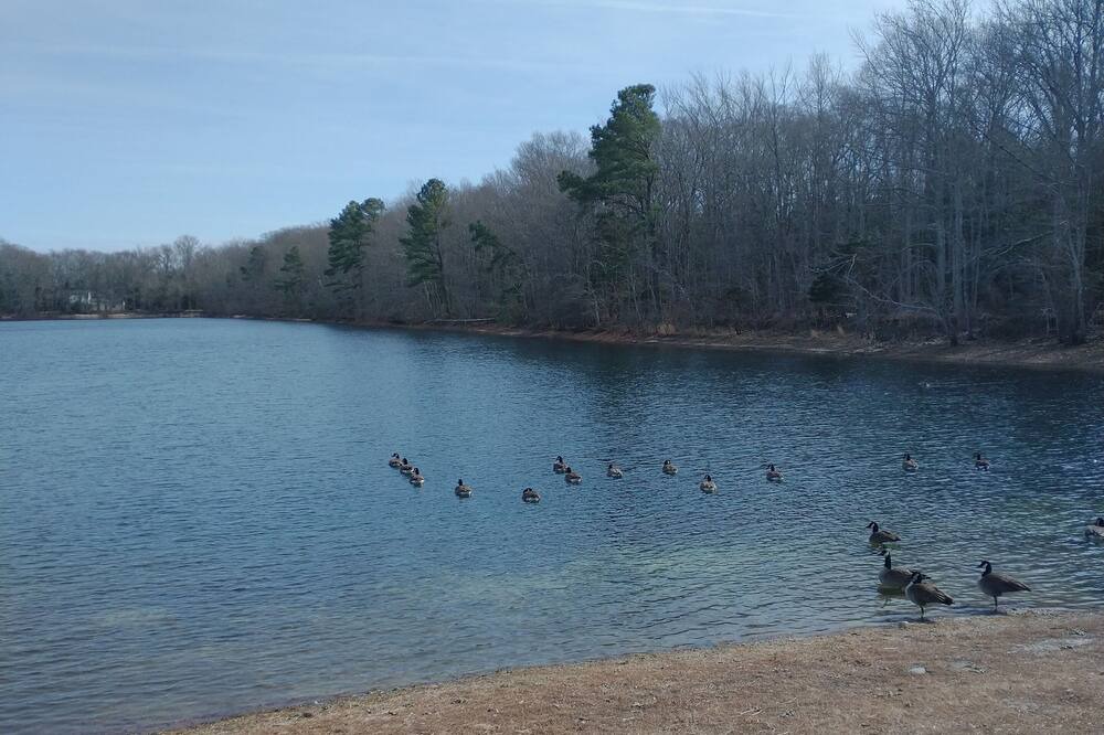 Photo of Others in Green Creek