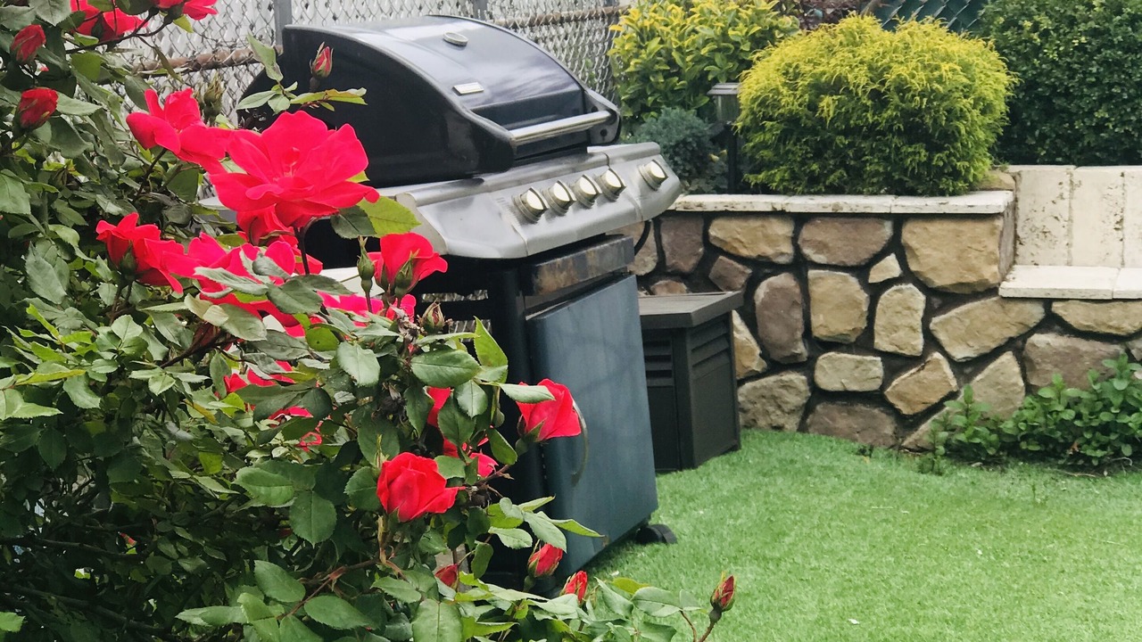 Photo of Outdoor in The Heights