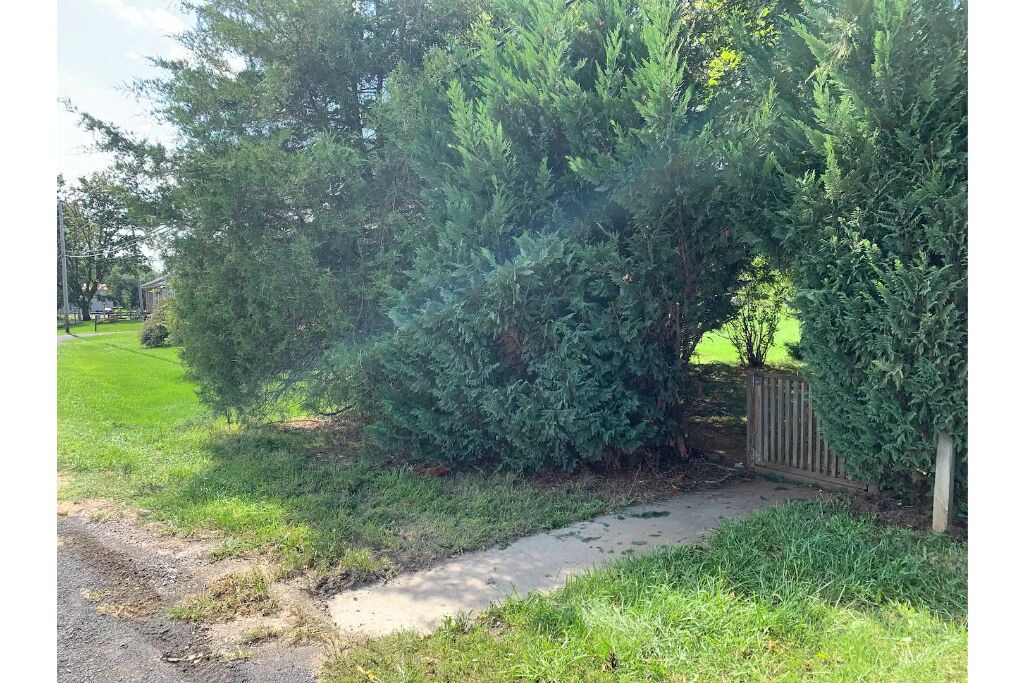 Photo of Outdoor in Fishers Hill