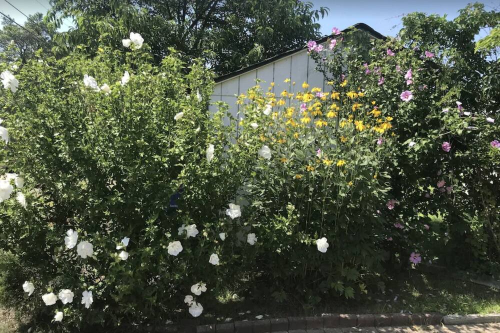 Photo of Outdoor in A-Zone