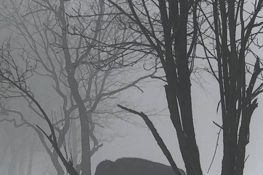 Photo of Others in Russell