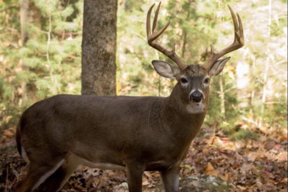 Photo of Others in Russell