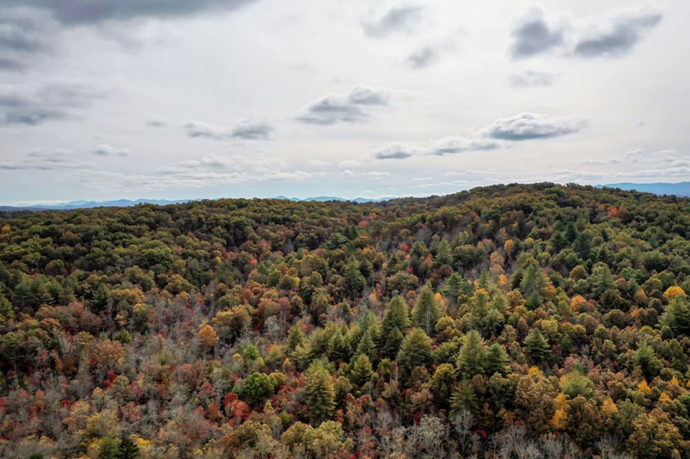Photo of Others in Blue Ridge