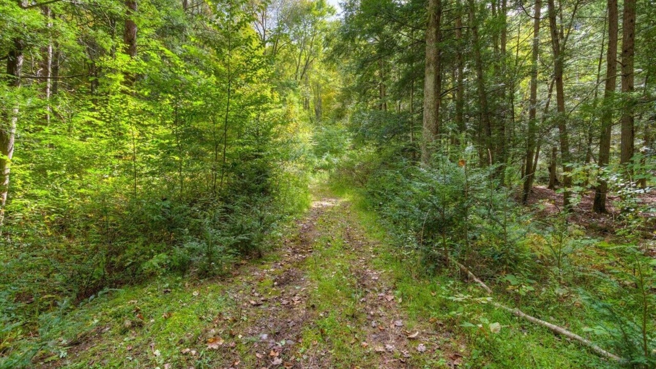 Photo of Outdoor in Sciota
