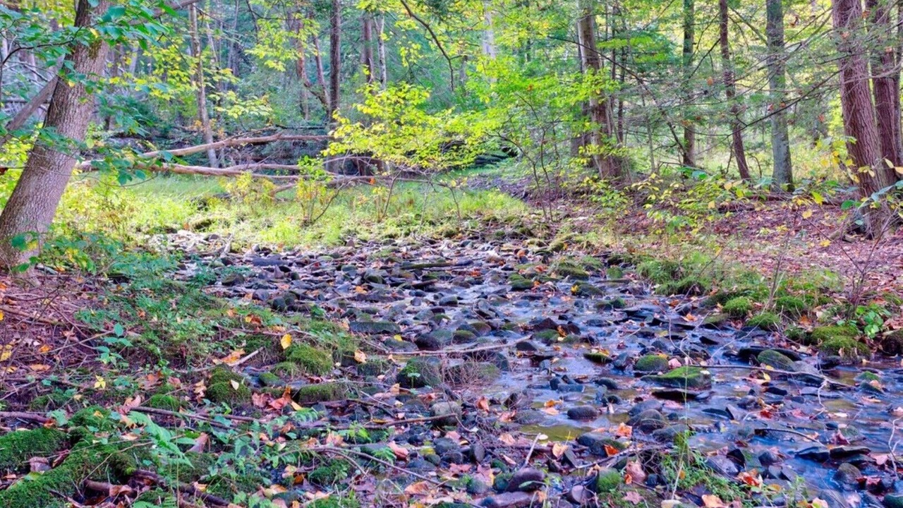 Photo of Outdoor in Sciota