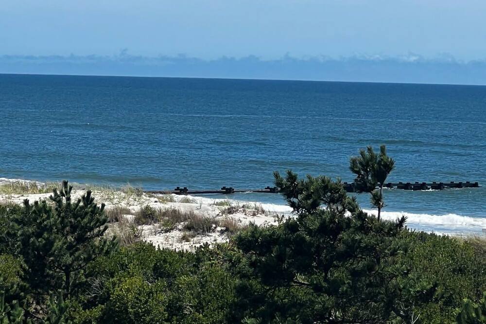 Photo of Others in Townsend's Inlet