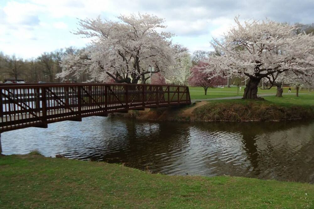 Photo of Outdoor in Carteret