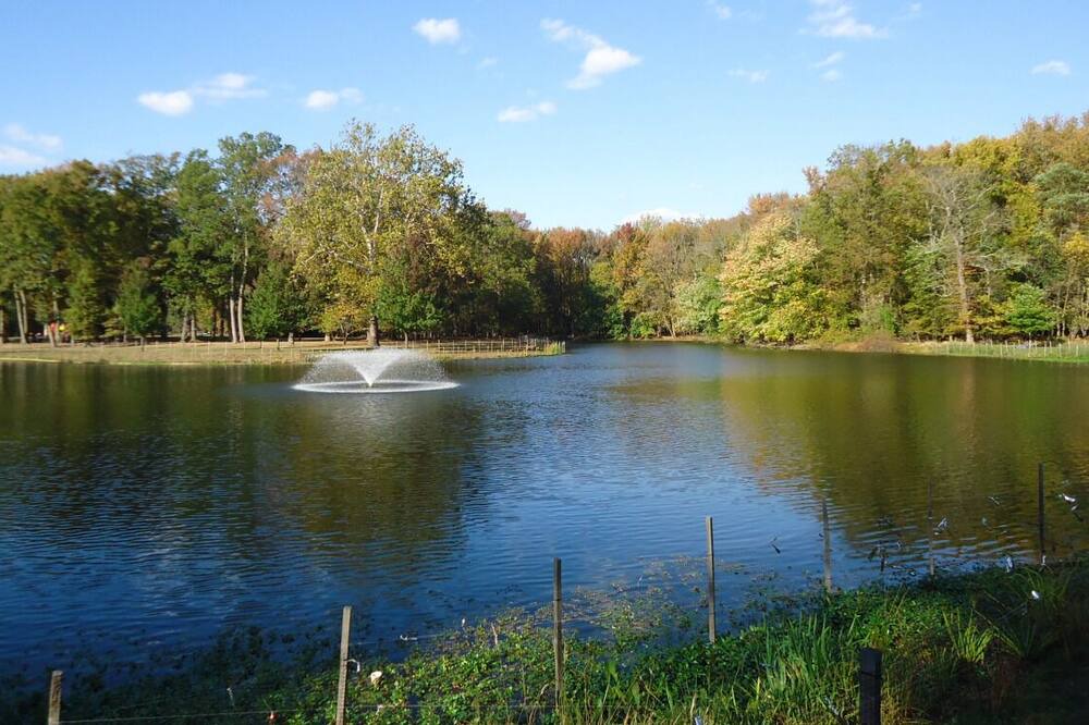 Photo of Outdoor in Carteret