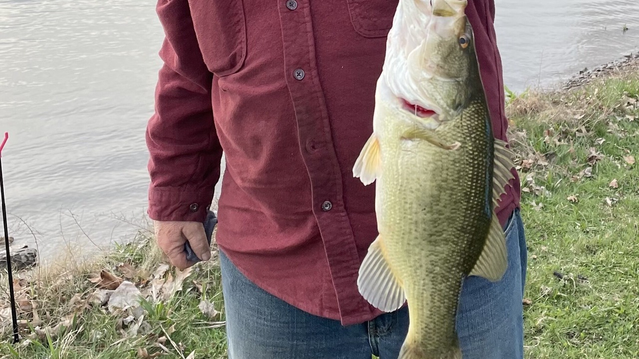 Photo of Others in Pymatuning Central
