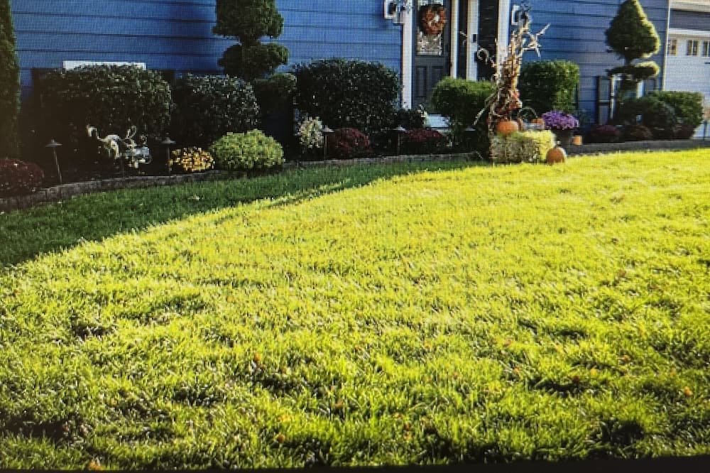 Photo of Outdoor in Grenloch