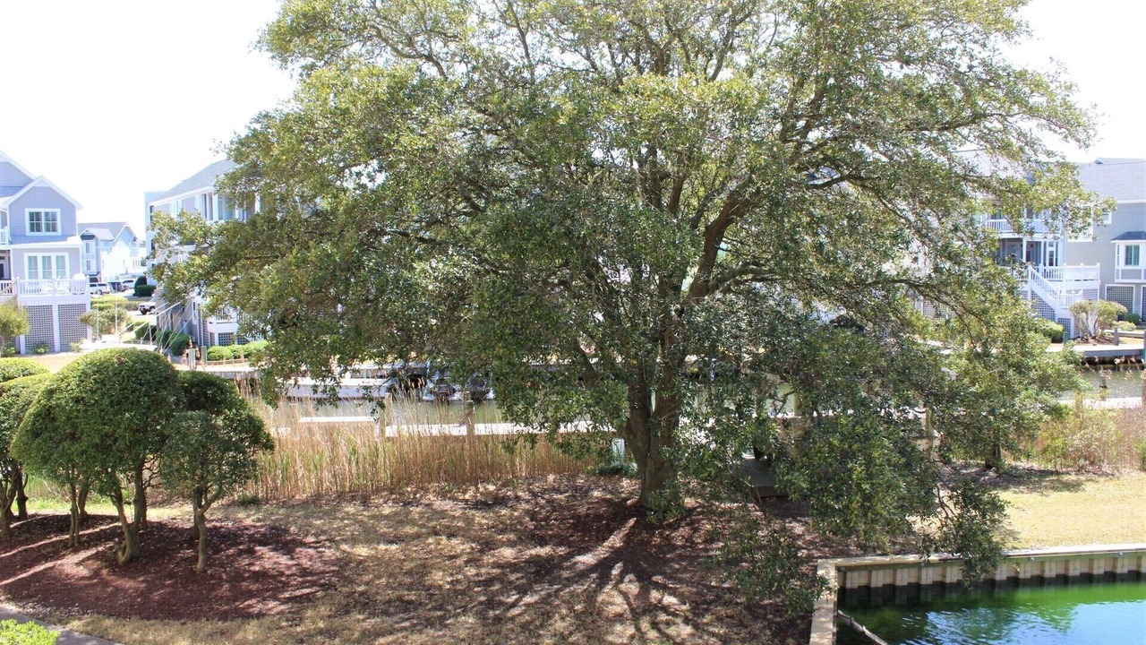 Photo of Outdoor in Manteo