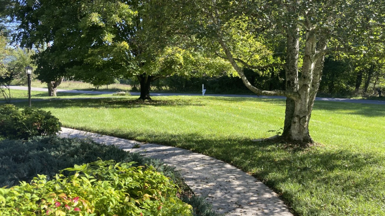 Photo of Outdoor in Pulaski