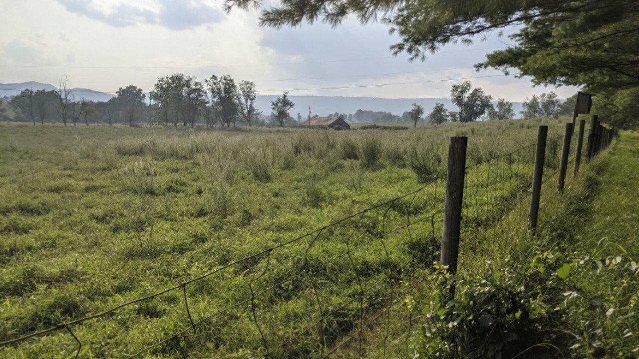 Photo of Outdoor in Pulaski