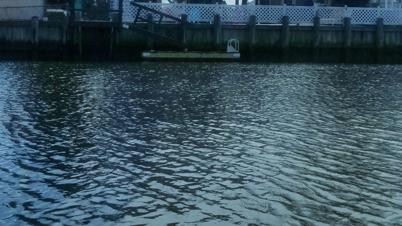 Photo of Others in Mystic Island
