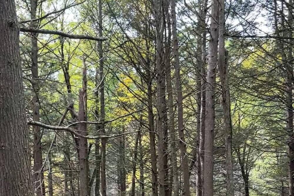 Photo of Others in Town of Highland
