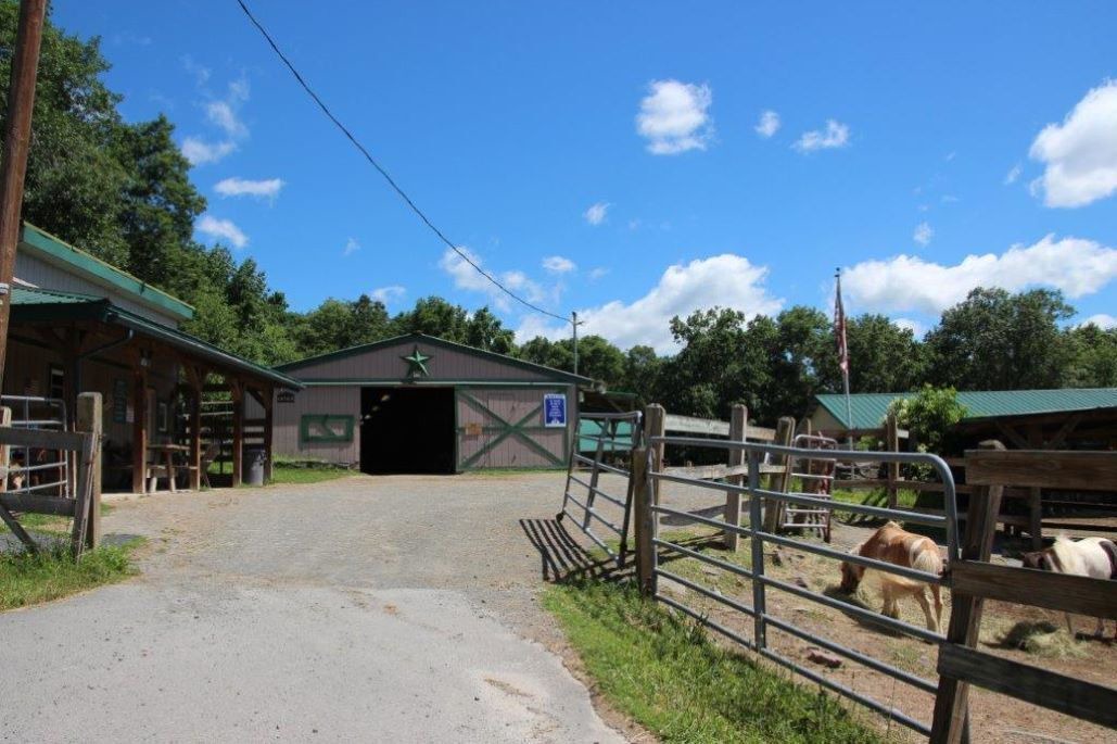 Photo of Outdoor in Lackawaxen