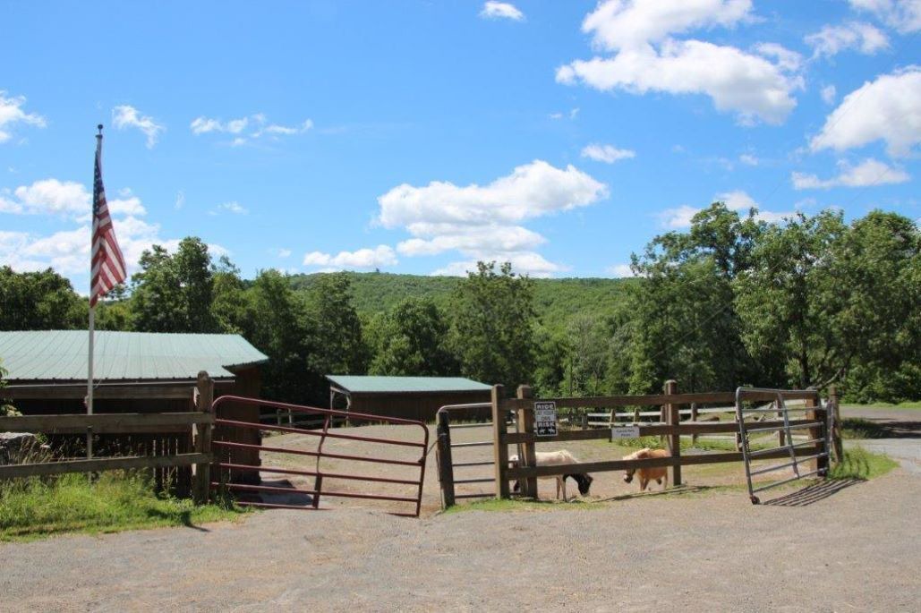 Photo of Outdoor in Lackawaxen