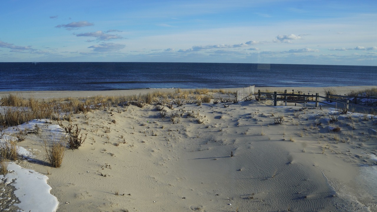 Photo of Others in Surf City