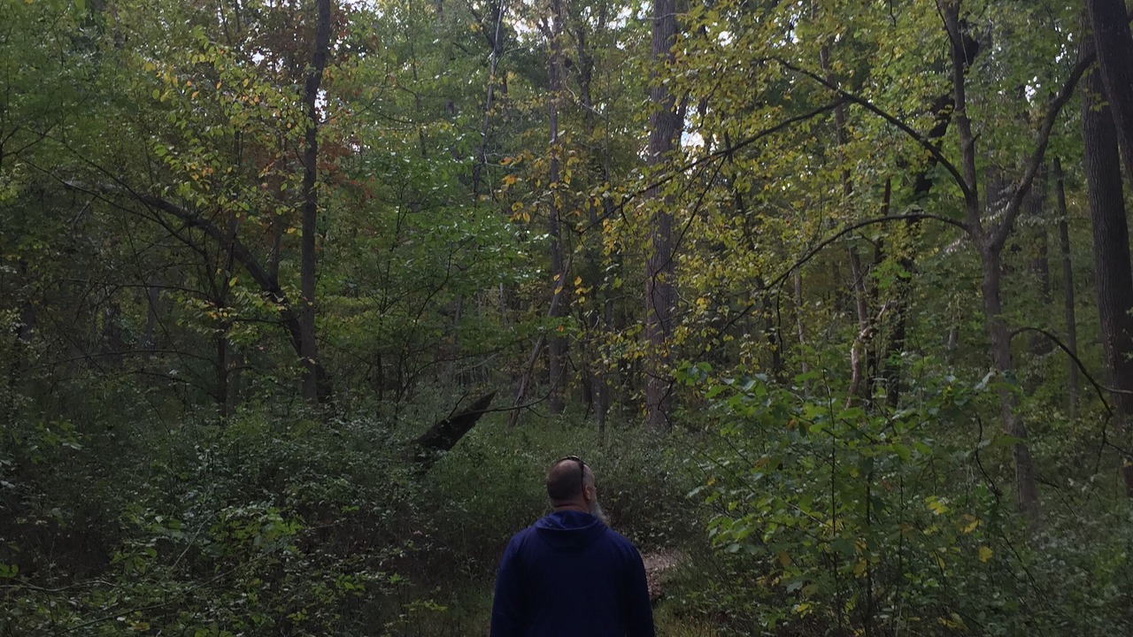 Photo of Outdoor in Raritan