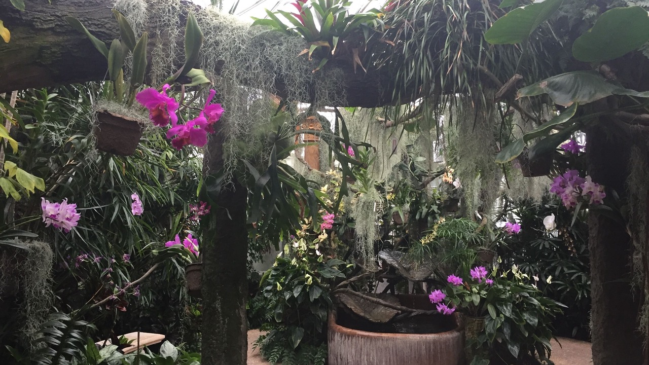 Photo of Outdoor in Raritan