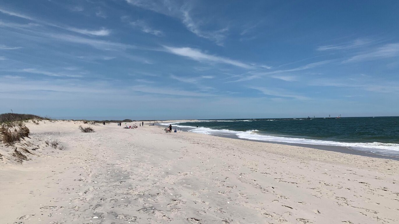 Photo of Others in Barnegat Light