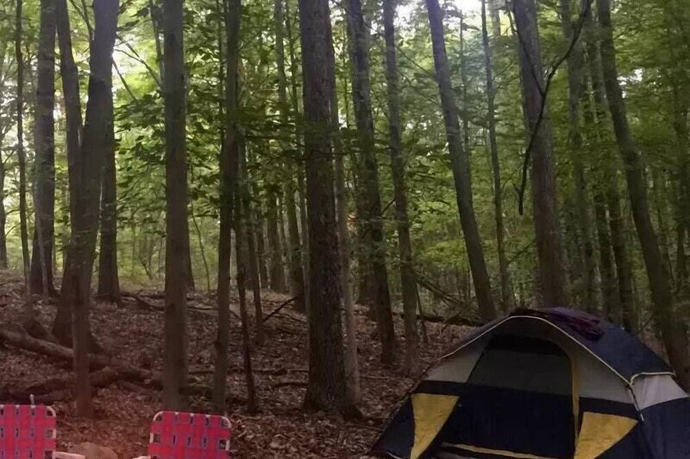 Photo of Others in Pine Bush