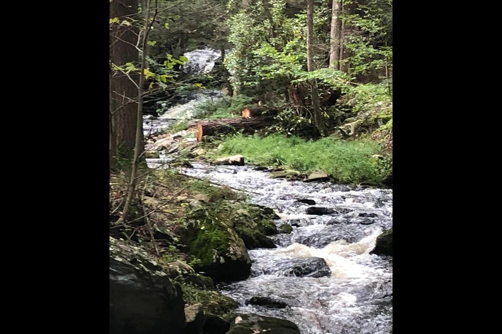 Photo of Others in Millrift