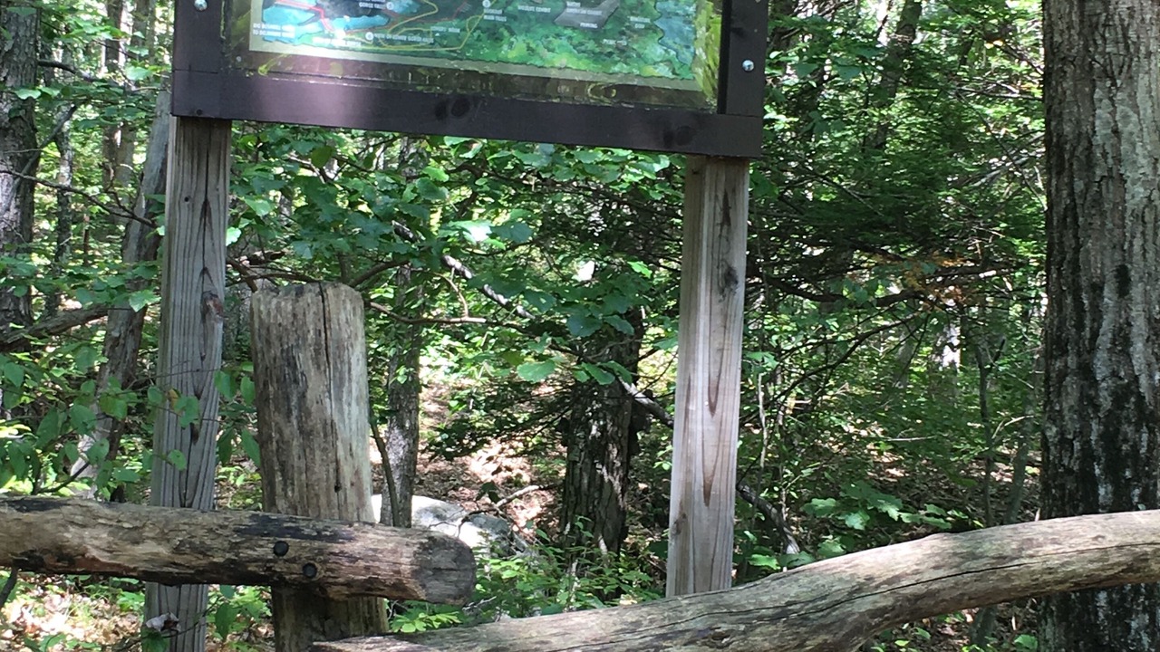 Photo of Outdoor in Tamiment