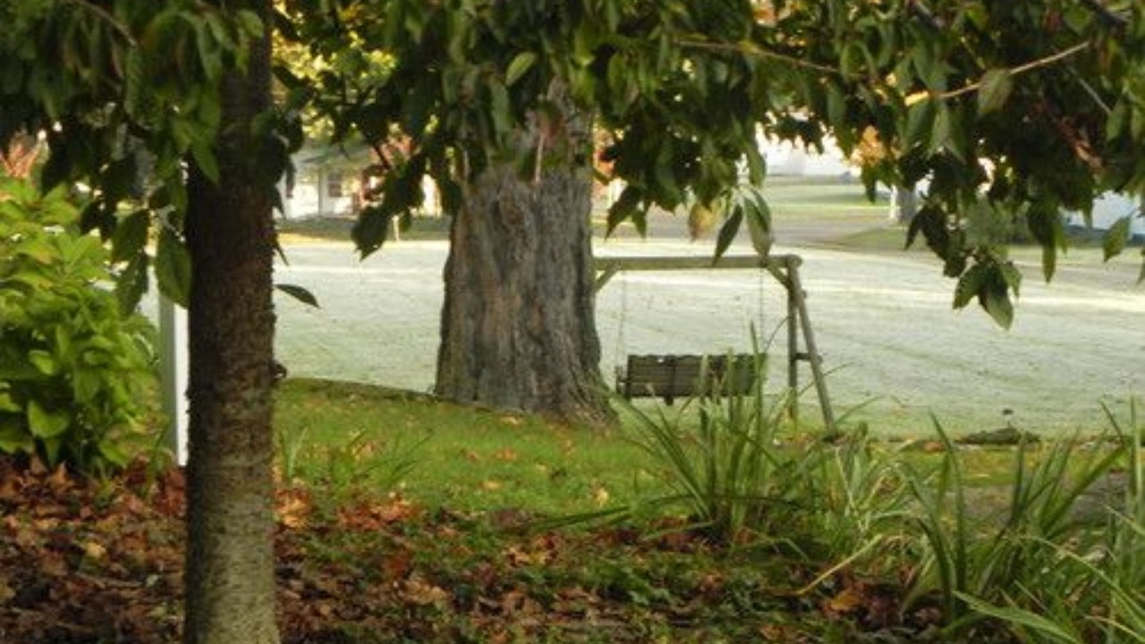 Photo of Outdoor in Dresden