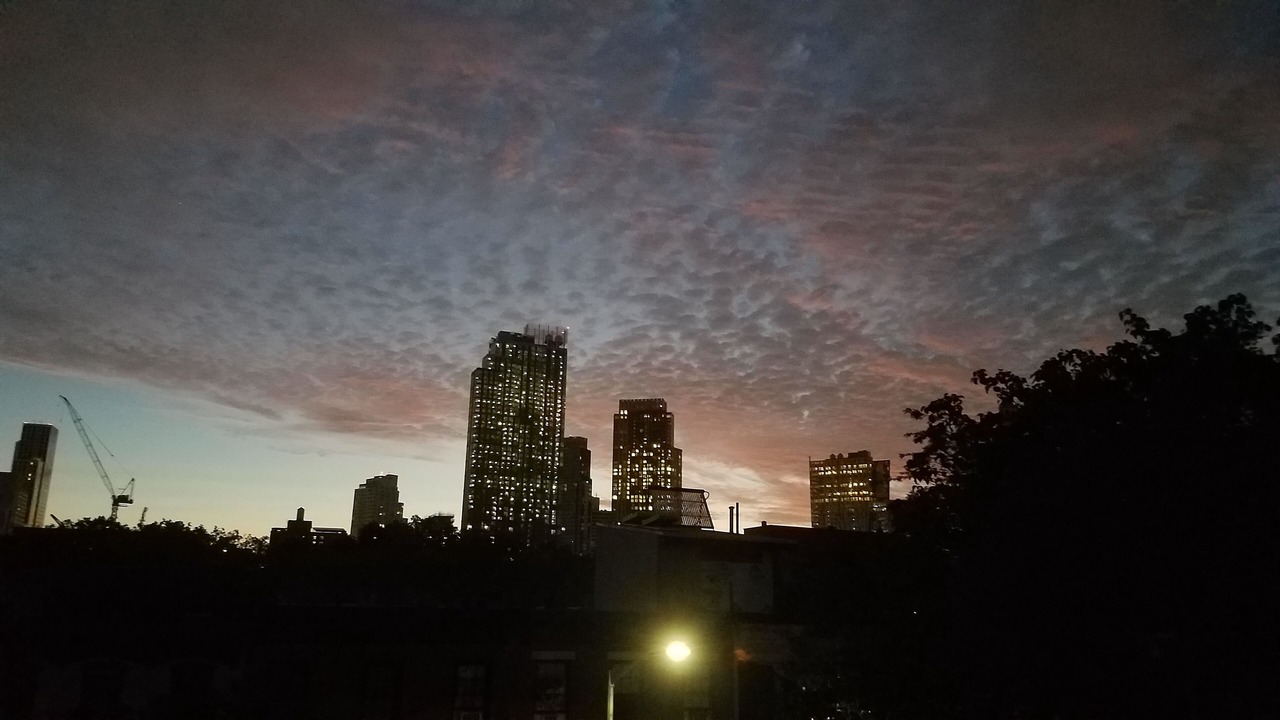 Photo of Others in Boerum Hill