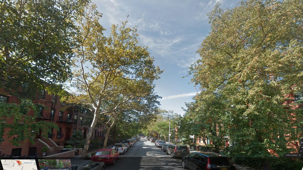 Photo of Others in Boerum Hill