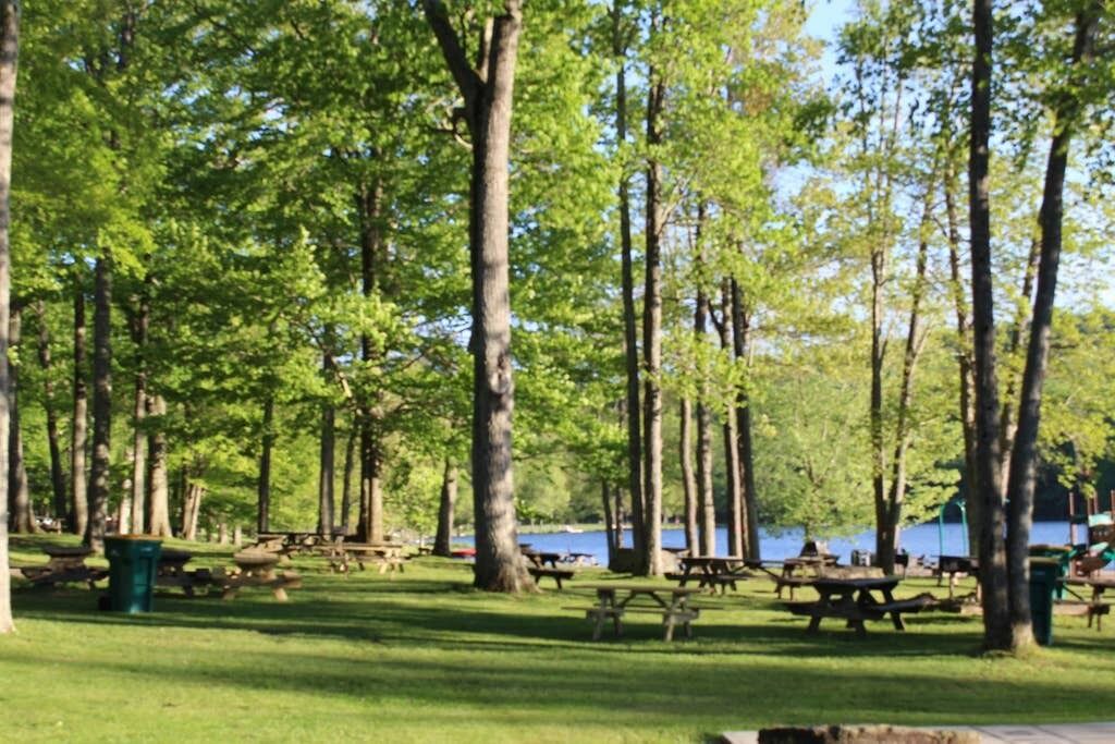 Photo of Others in Locust Lake Village