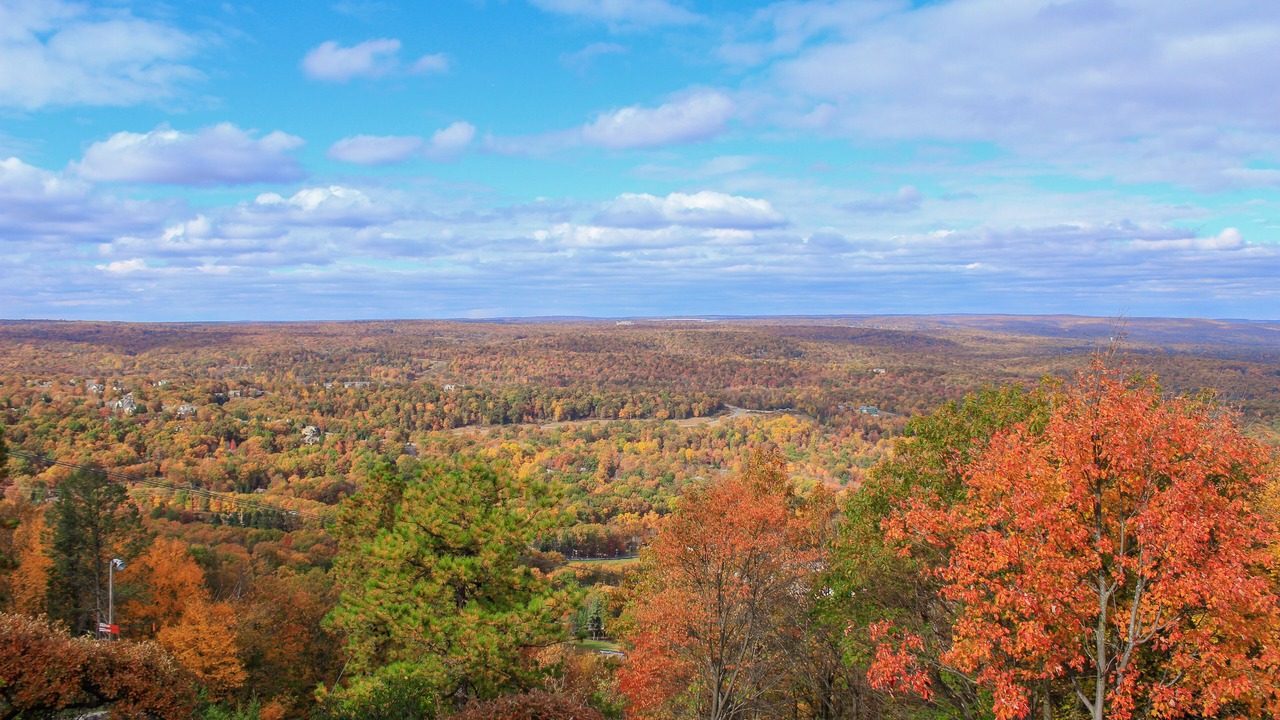 Photo of Outdoor in Tannersville