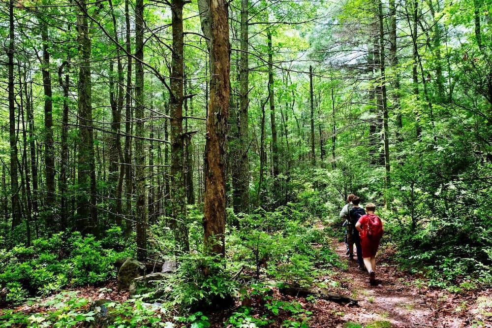 Photo of Outdoor in Criders
