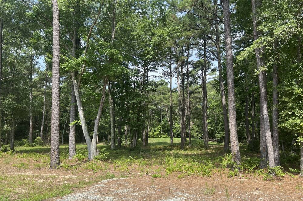 Photo of Outdoor in Georgetown
