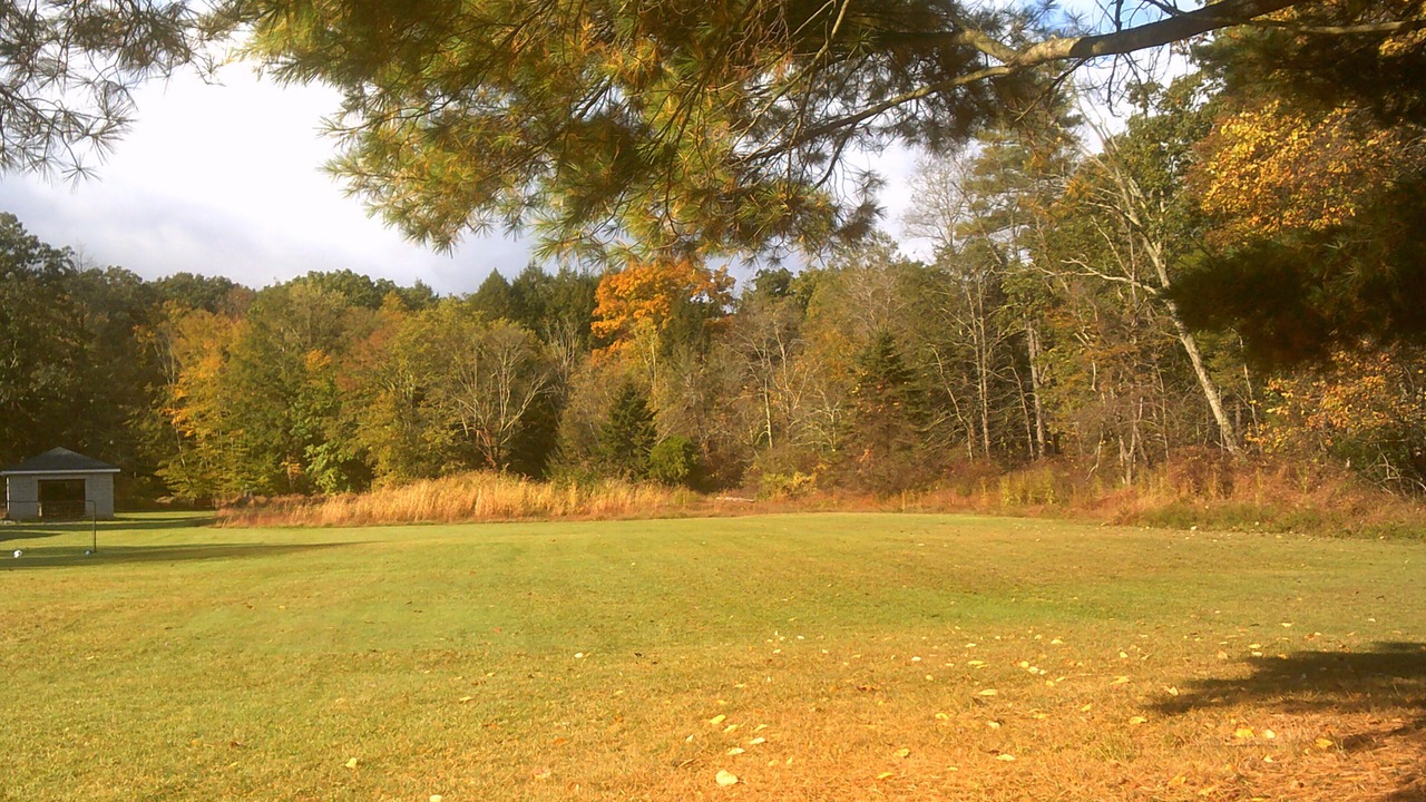 Photo of Others in Wapwallopen