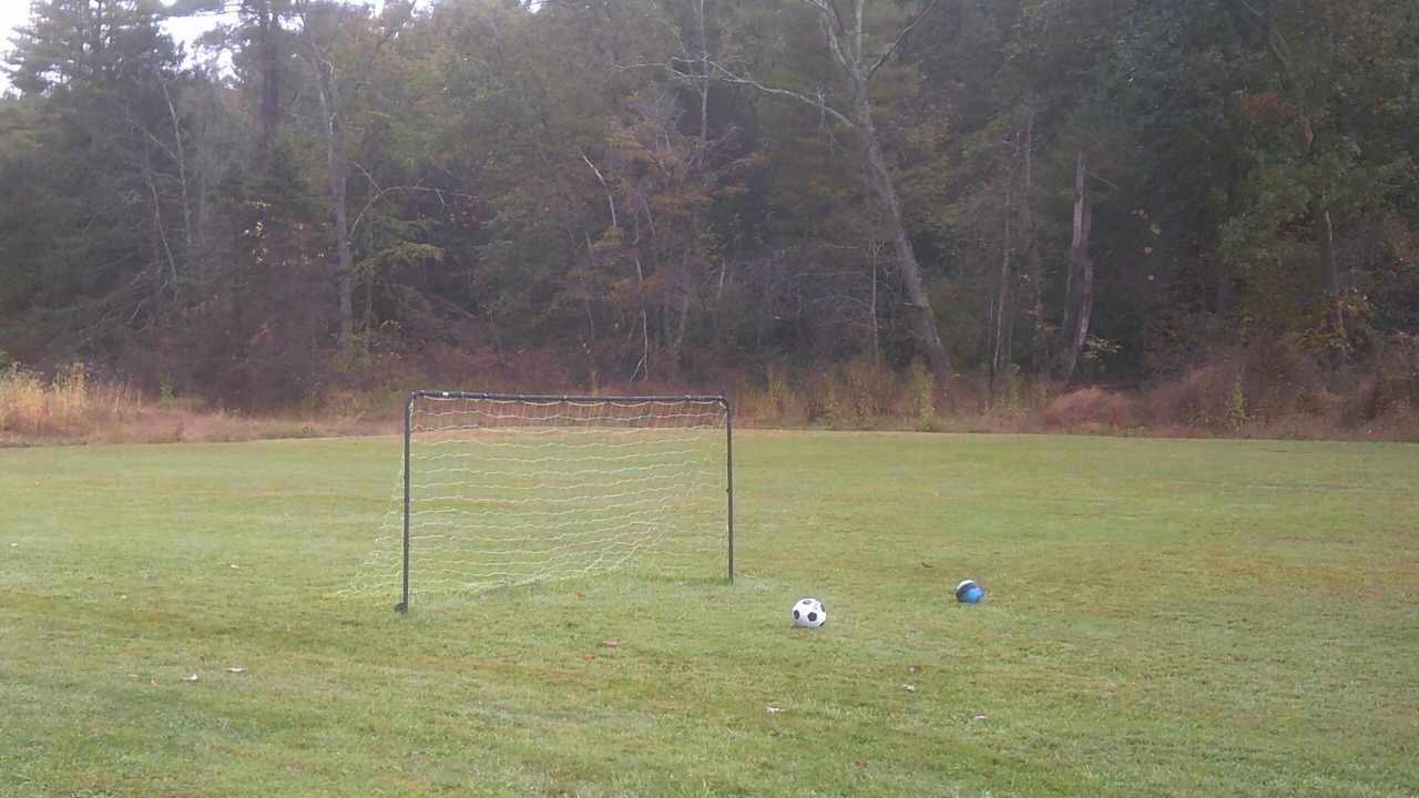Photo of Others in Wapwallopen
