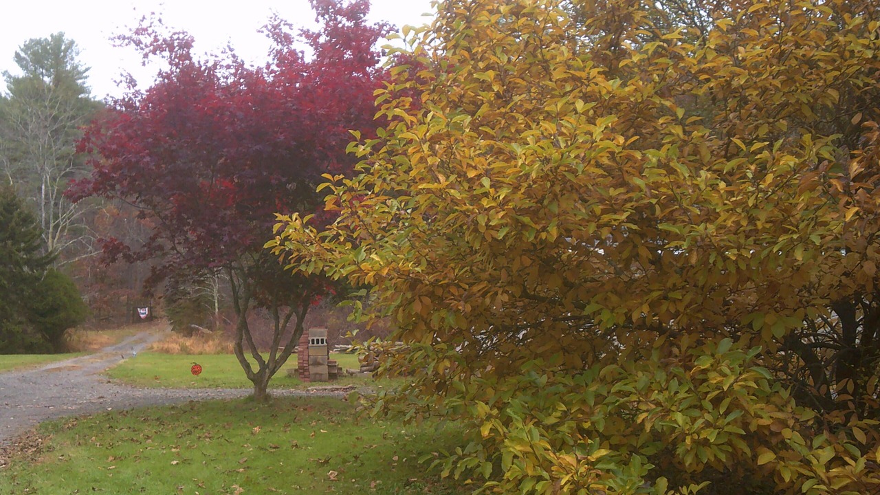 Photo of Outdoor in Wapwallopen